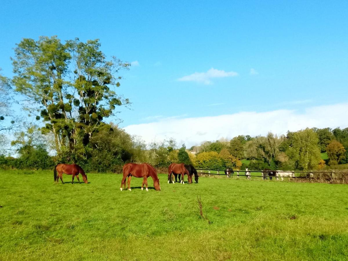 Relais Equestre Du Miloir - Chambres D'Hotes Saint-Desir Экстерьер фото