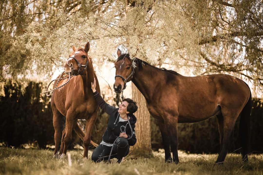 Relais Equestre Du Miloir - Chambres D'Hotes Saint-Desir Экстерьер фото